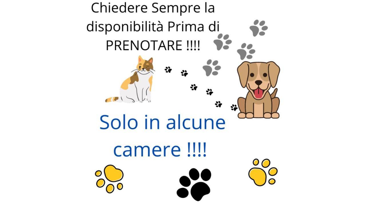 Terra Ciociara Bnb Frosinone Eksteriør billede